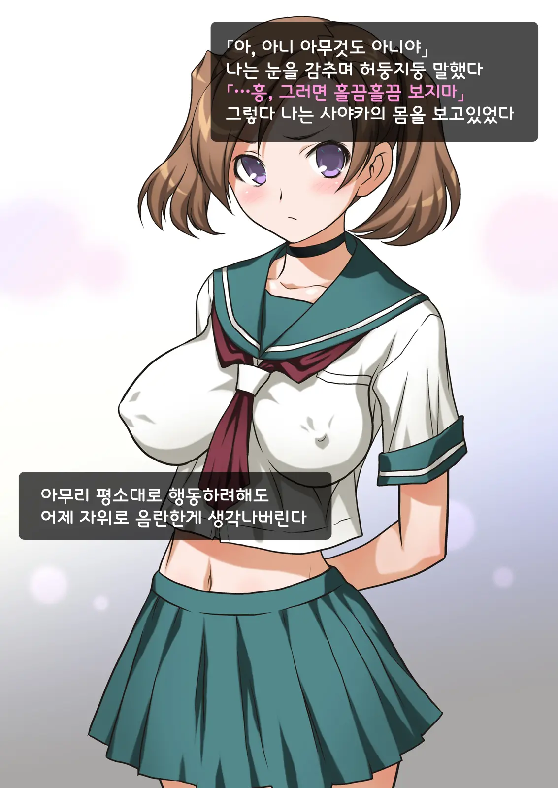 Imouto Wa Nama Onaho ~Sayaka Wa Onii-Chan Senyou Sei Gangu~